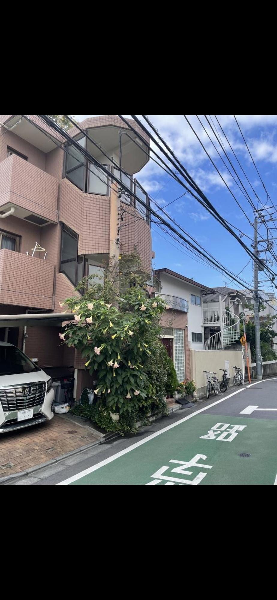 新宿安靜の家-A Quiet Home In Shinjuku - A 26 Square Meter Double Bed Room That Feels Like Home Tokyo Bagian luar foto