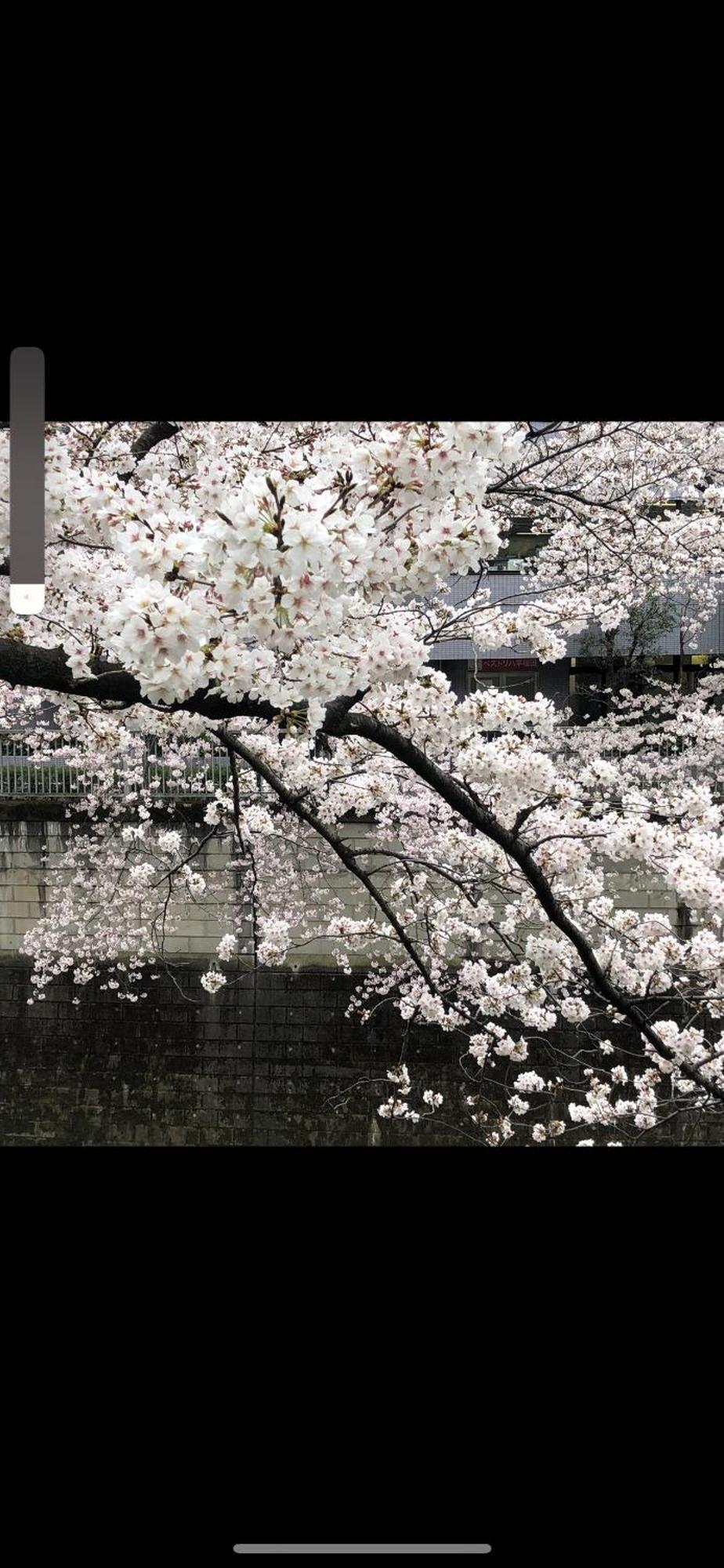 新宿安靜の家-A Quiet Home In Shinjuku - A 26 Square Meter Double Bed Room That Feels Like Home Tokyo Bagian luar foto