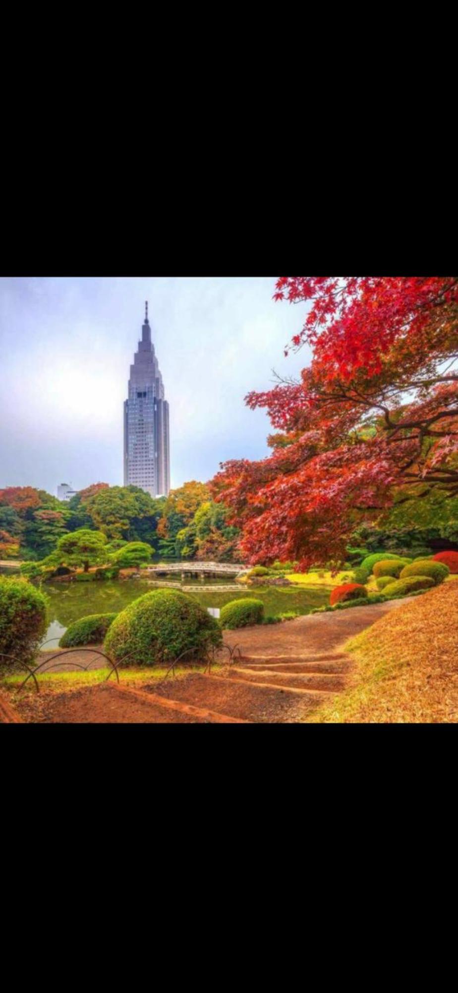 新宿安靜の家-A Quiet Home In Shinjuku - A 26 Square Meter Double Bed Room That Feels Like Home Tokyo Bagian luar foto