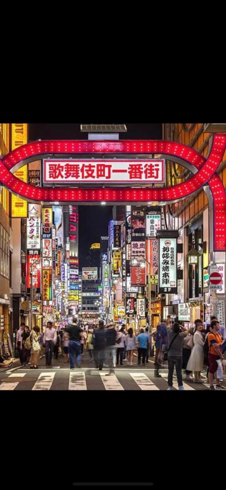 新宿安靜の家-A Quiet Home In Shinjuku - A 26 Square Meter Double Bed Room That Feels Like Home Tokyo Bagian luar foto